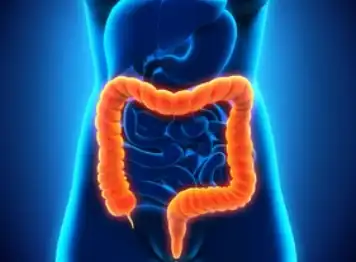 Colon Detox